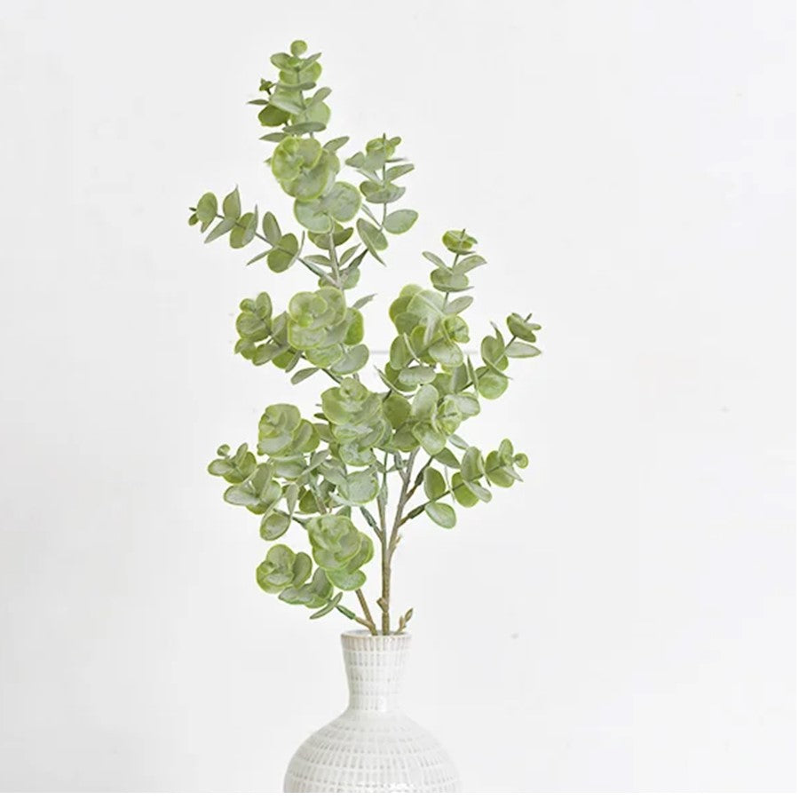 Eucalyptus