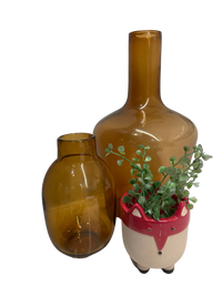Amber Bottle