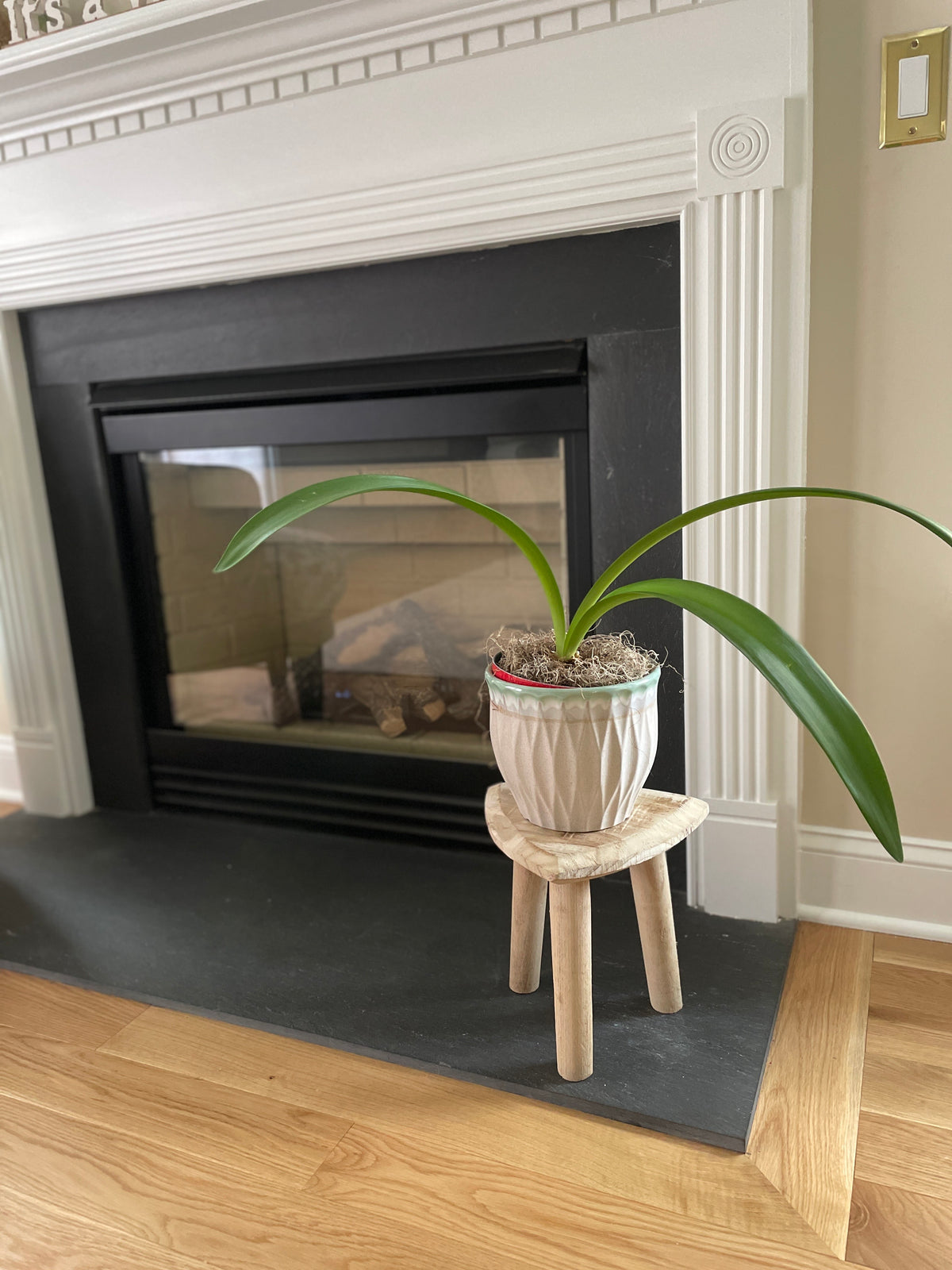 Natural Wood Stool