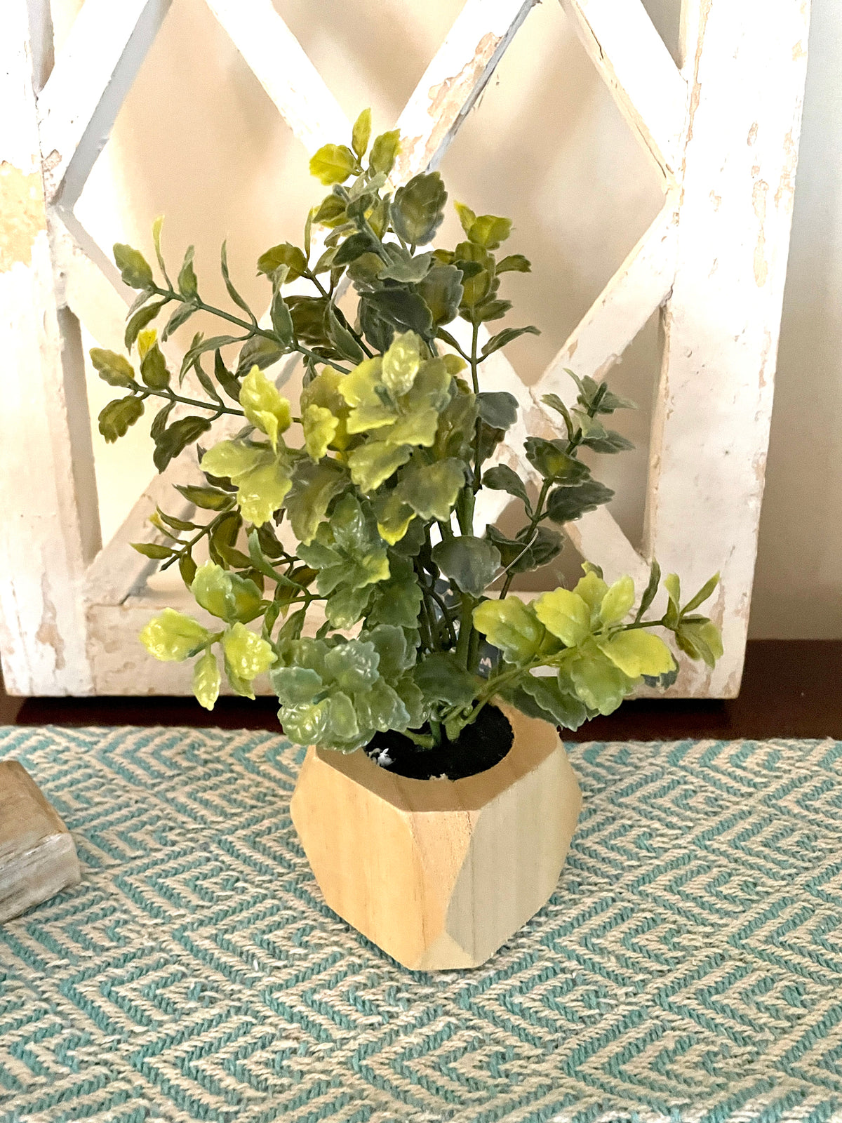 Baby Leaf Group in Wood Planter