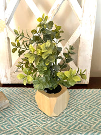 Baby Leaf Group in Wood Planter