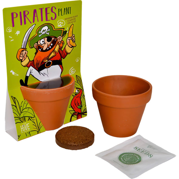 Whimsical Pirate Plant Grow Kit – Indoor Garden Gift