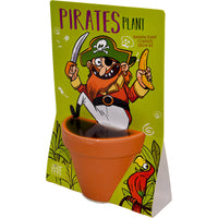 Whimsical Pirate Plant Grow Kit – Indoor Garden Gift