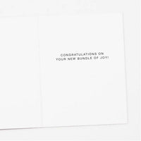 Lady Bug New Baby Congratulations Card