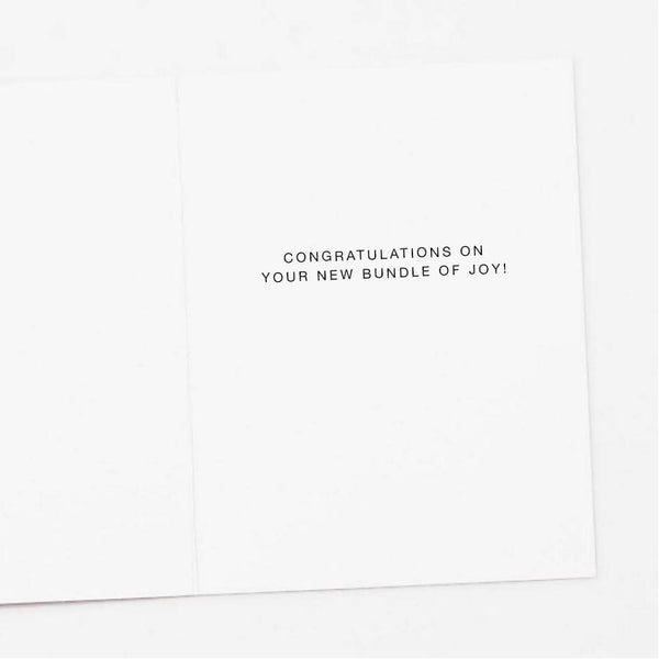 Lady Bug New Baby Congratulations Card