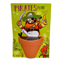 Whimsical Pirate Plant Grow Kit – Indoor Garden Gift