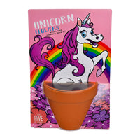 Whimsical Unicorn Flower Grow Kit – Indoor Garden Gift