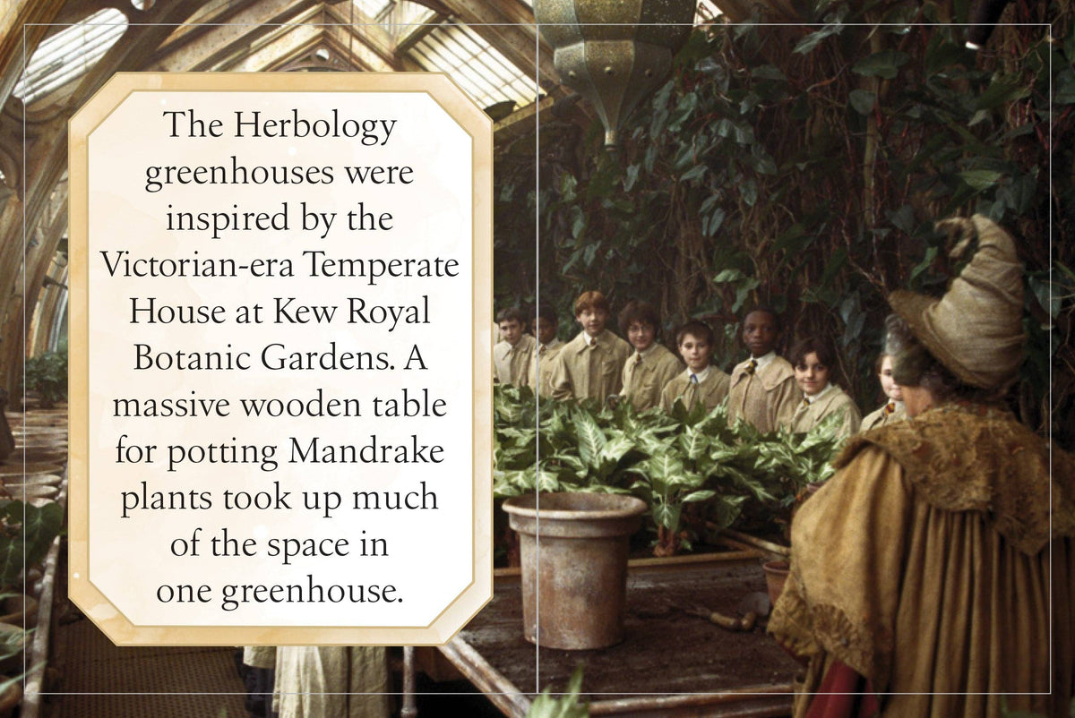 Harry Potter:Hogwarts School of Witchcraft & Wizardry (Tiny)