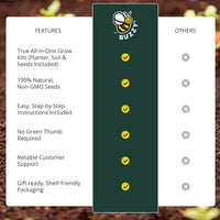 Mini Wildflower Seed Box – Flowers For You Gift Set (4)