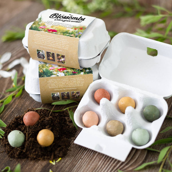 Egg Carton “Hello Spring” – 6 Wildflower Seed Bombs Gift