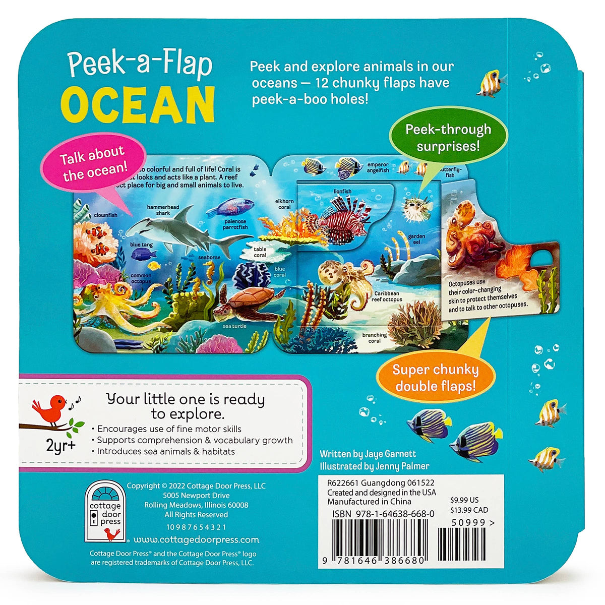 Ocean Interactive Lift-a-Flap Board Book