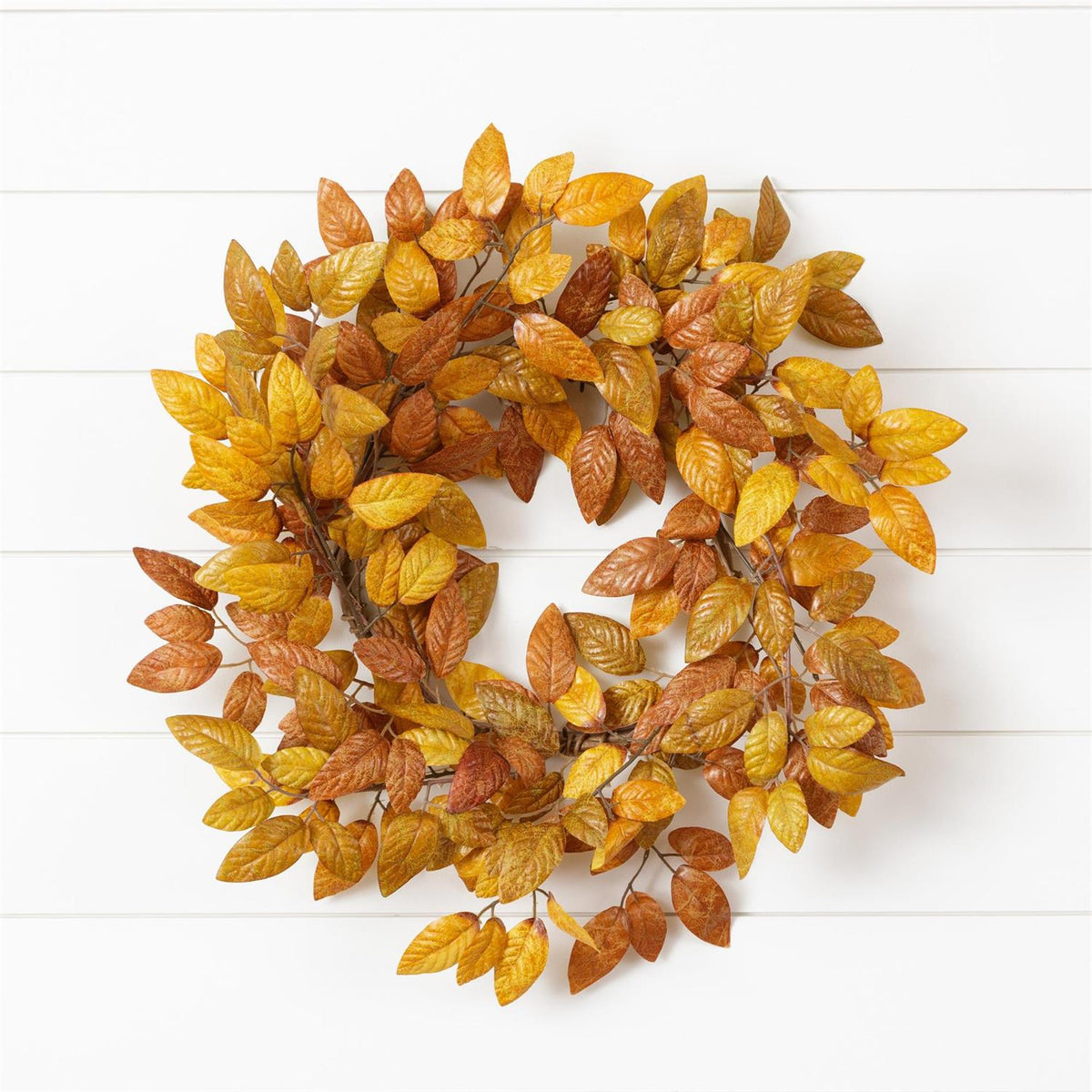 Wreath-Beech Fall Foliage