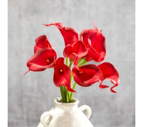 Calla Lillies-Bunch