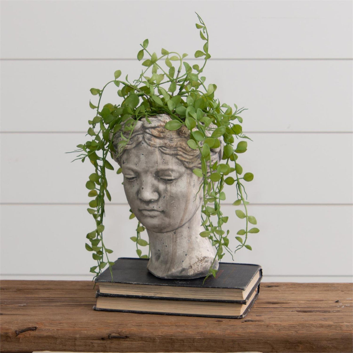 Cement Head Planter