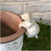 Planter/Pot Hanger
