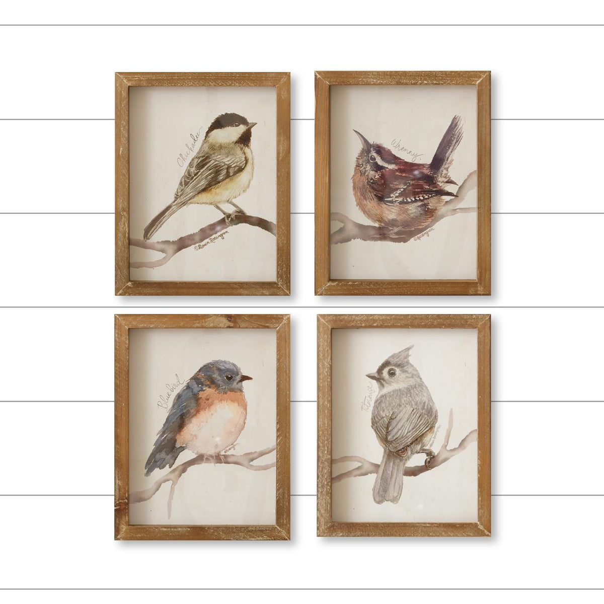 Framed Birds with Names