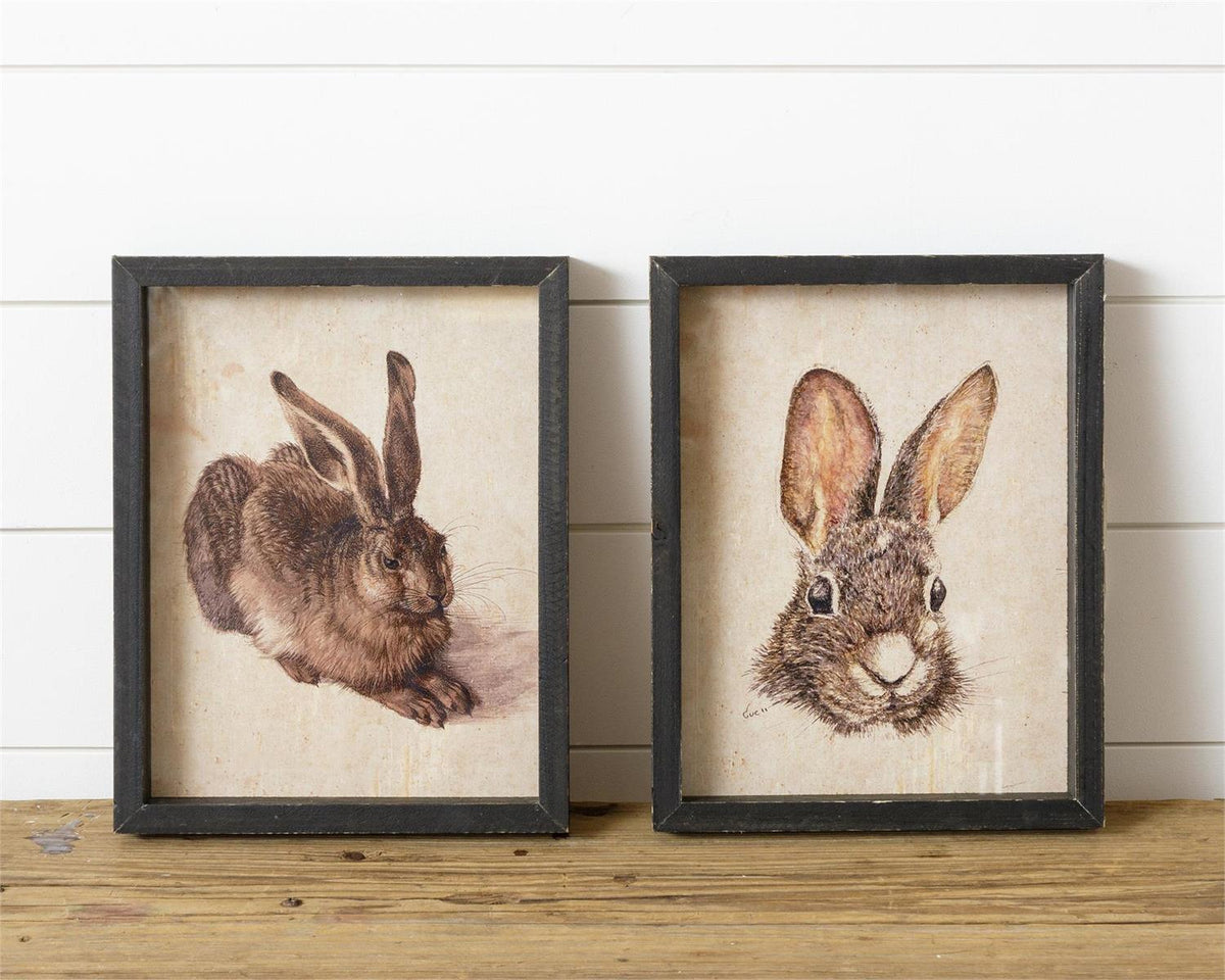 Framed Rabbit Prints-Set of 2