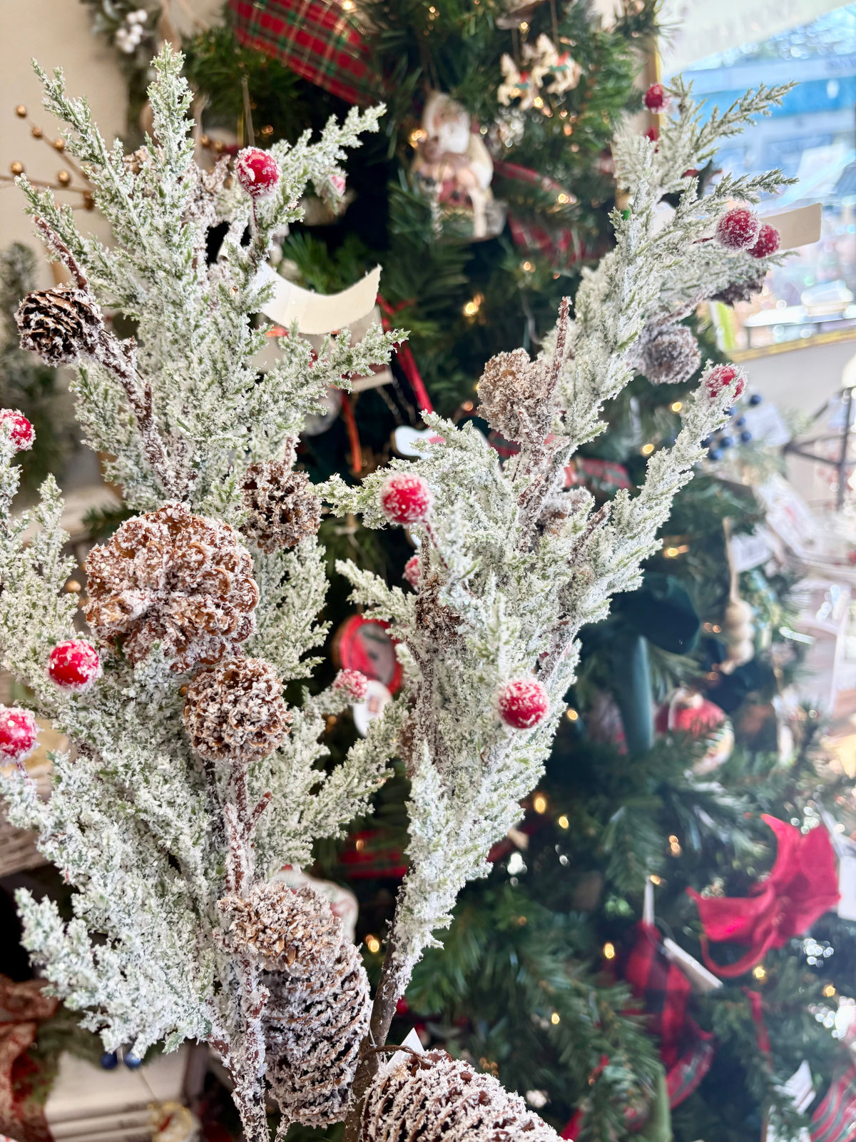 Pinecones & Berries Pick