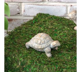 Garden Turtle-Goldwash