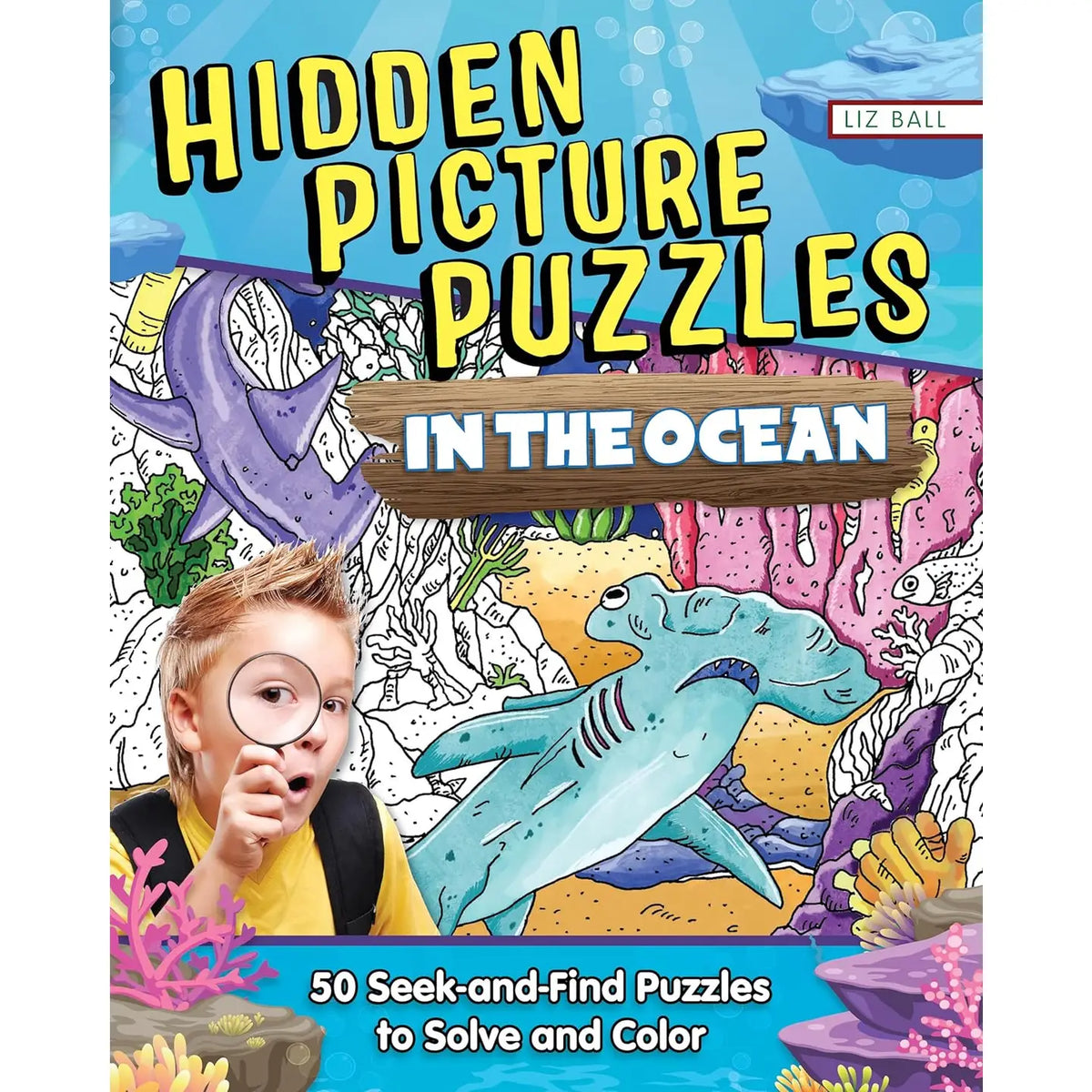 Hidden Picture Puzzles