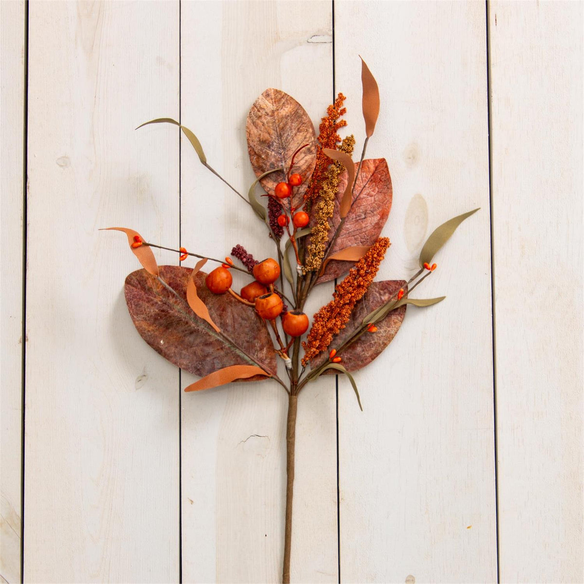 Pods, Leaves, Fall Foliage