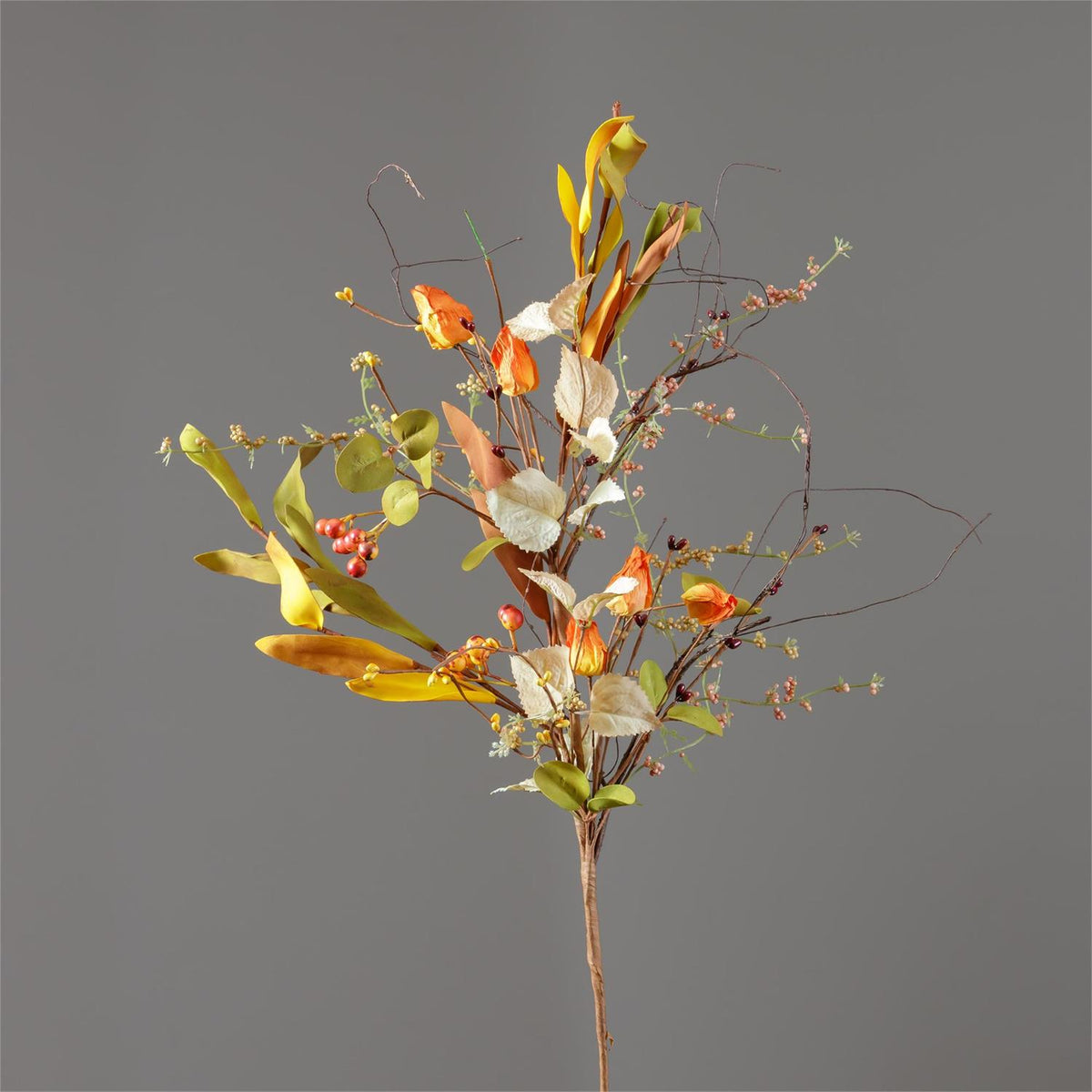 Pods, berries, foliage