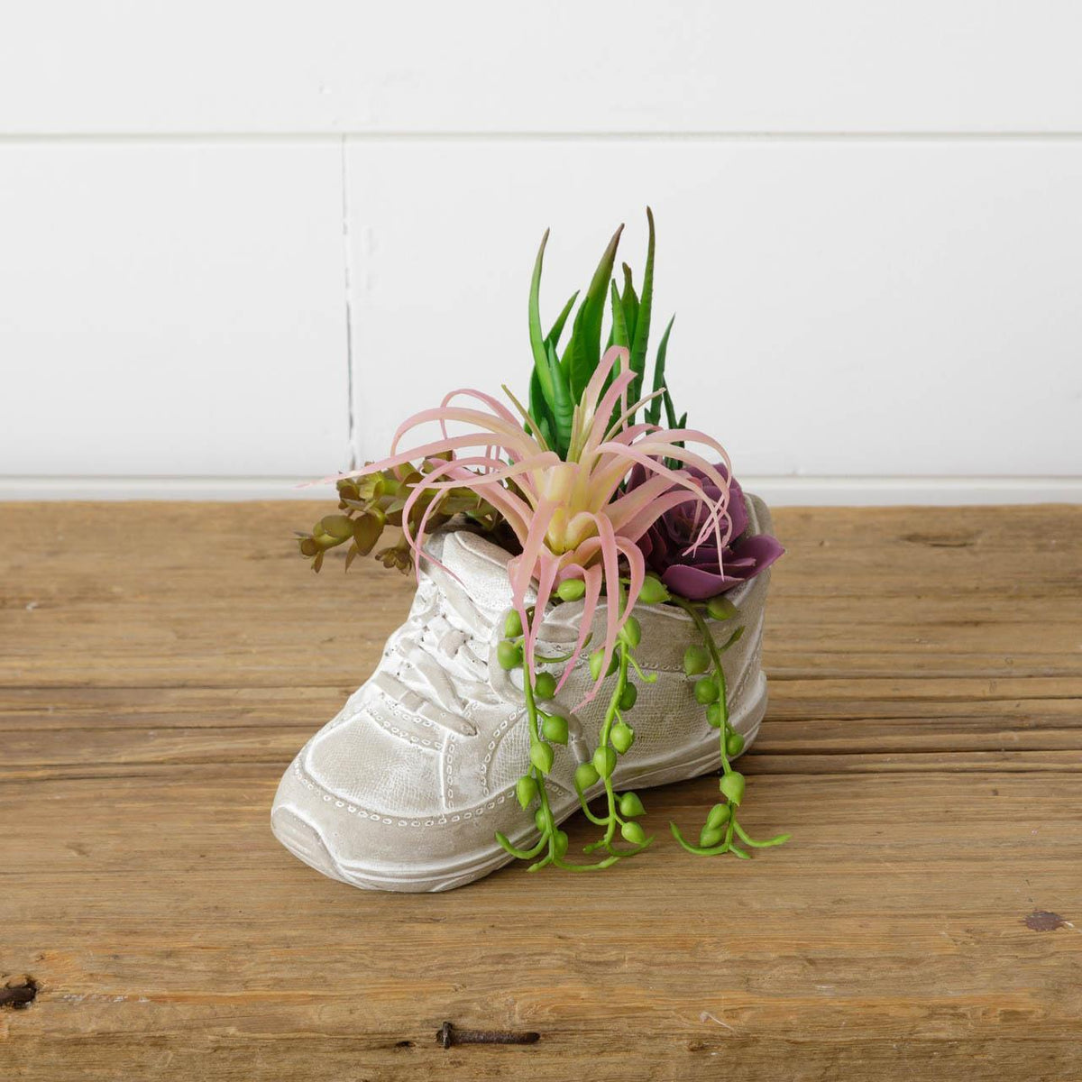 Succulent in Cement Shoe