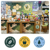 Mini Wildflower Seed Box – Flowers For You Gift Set (4)